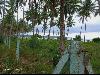 Beach Lot for Sale in San Vicente Palawan